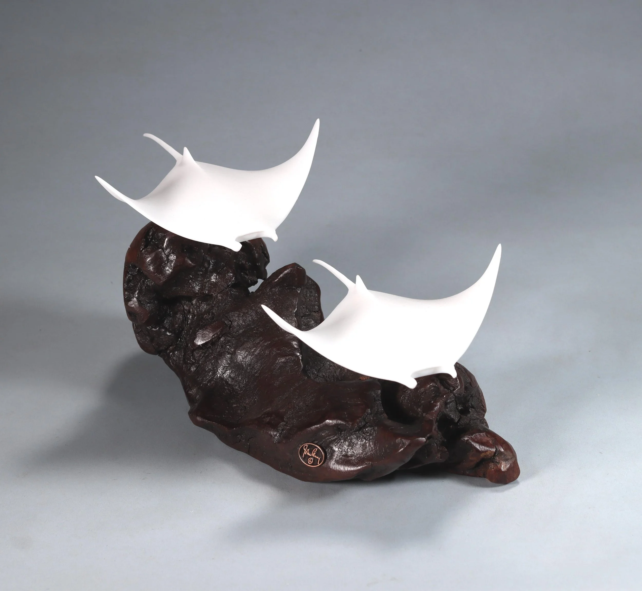 Manta Rays — All Items — JOHN PERRY STUDIO